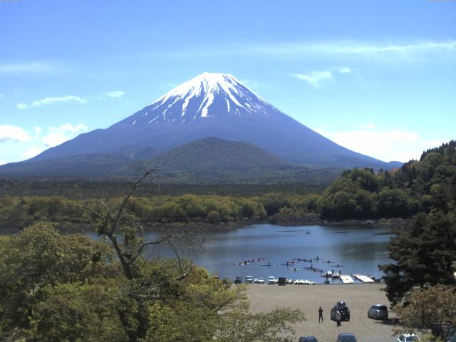 精進湖からの富士山