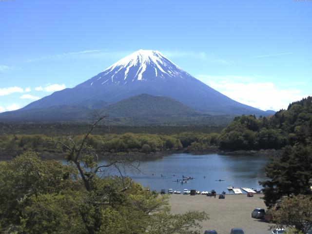 精進湖からの富士山