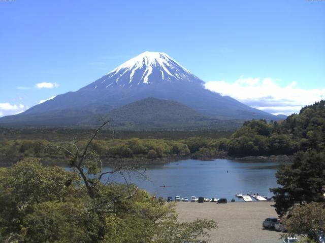 精進湖からの富士山
