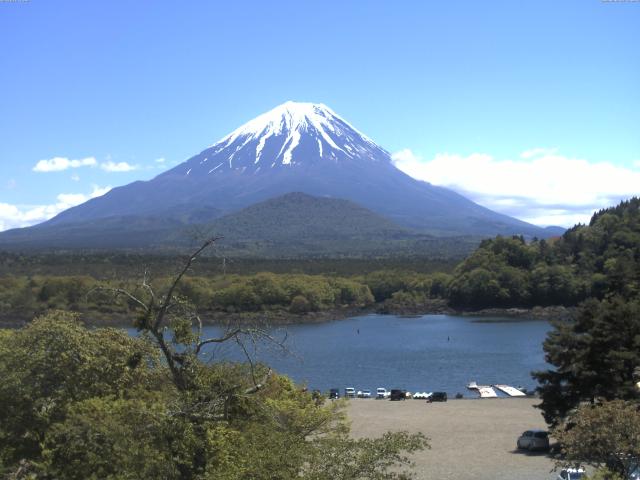 精進湖からの富士山