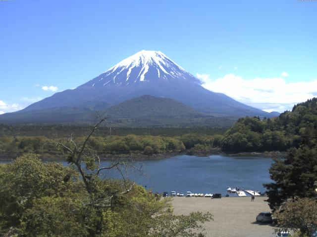 精進湖からの富士山