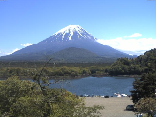 精進湖からの富士山