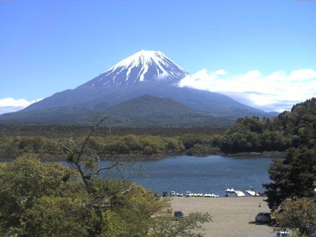 精進湖からの富士山
