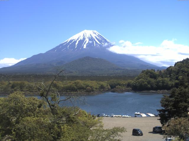 精進湖からの富士山
