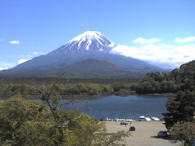 精進湖からの富士山