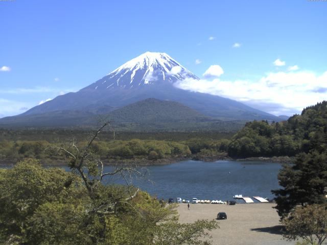 精進湖からの富士山
