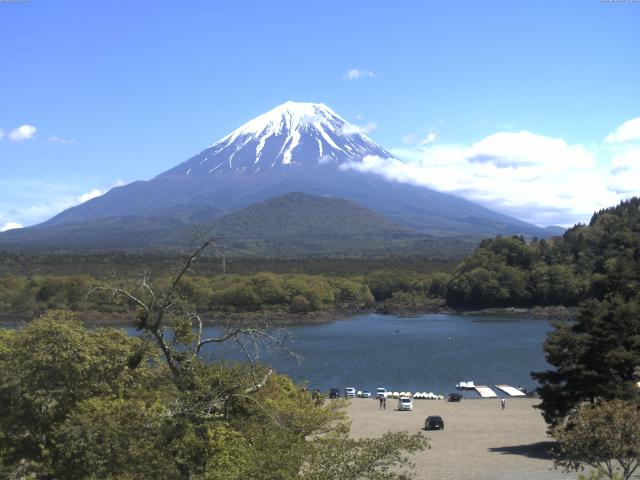 精進湖からの富士山