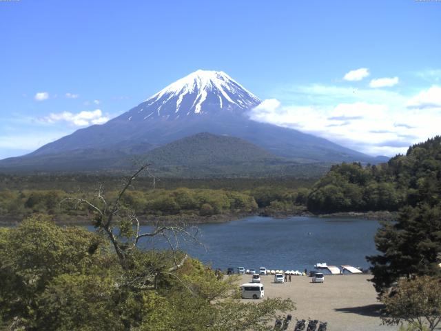 精進湖からの富士山