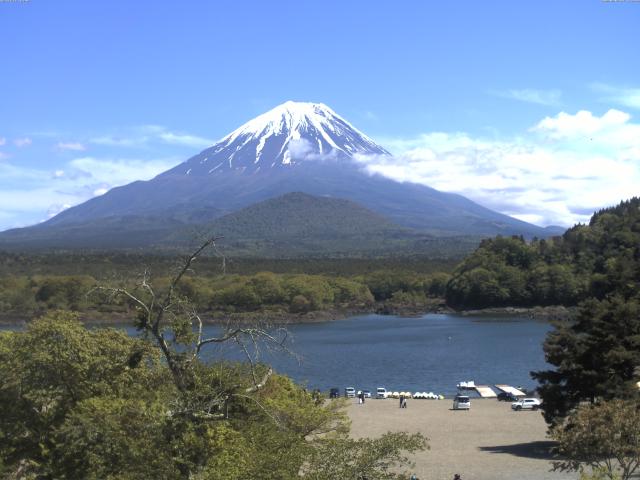 精進湖からの富士山