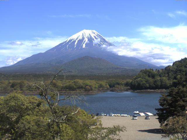 精進湖からの富士山