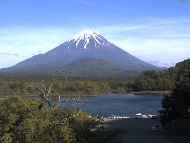 精進湖からの富士山