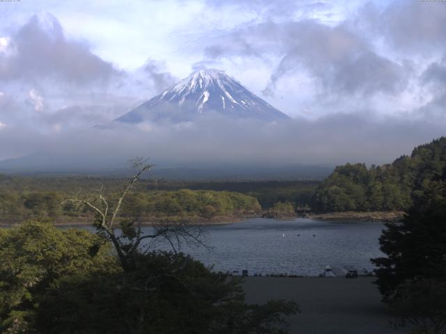 精進湖からの富士山