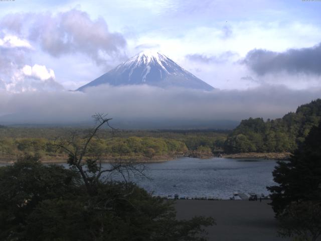 精進湖からの富士山