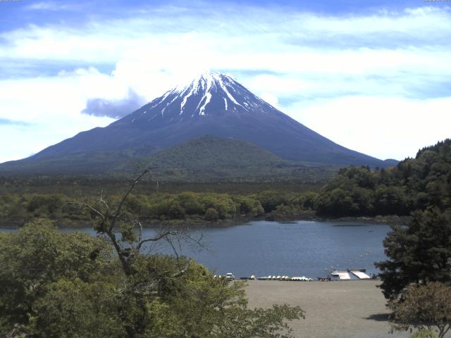 精進湖からの富士山