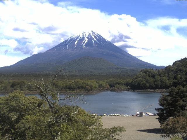 精進湖からの富士山