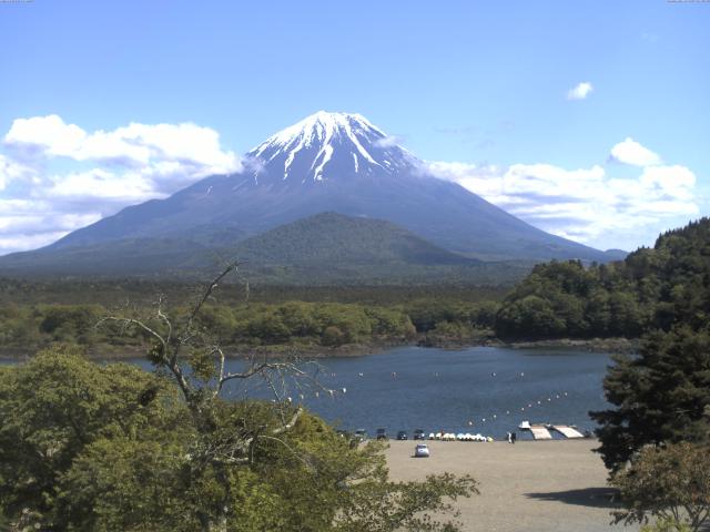 精進湖からの富士山