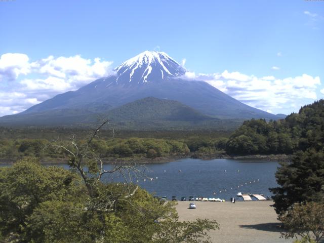精進湖からの富士山