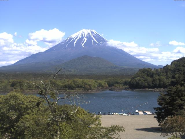精進湖からの富士山
