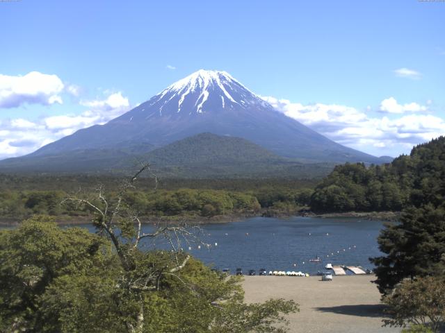 精進湖からの富士山