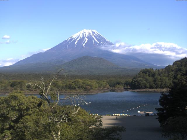 精進湖からの富士山