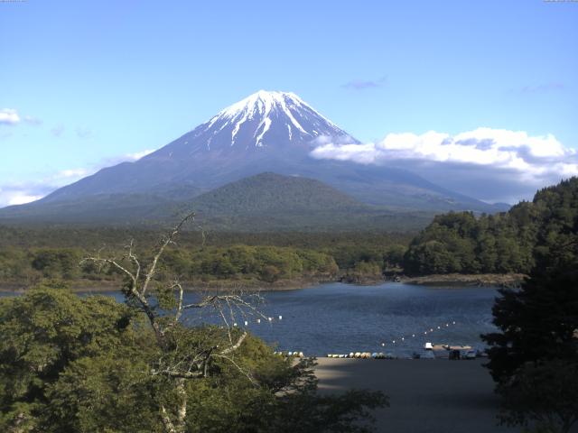 精進湖からの富士山