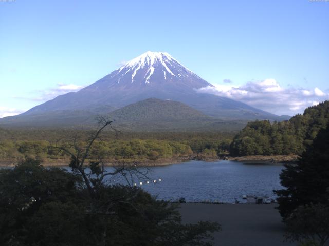 精進湖からの富士山
