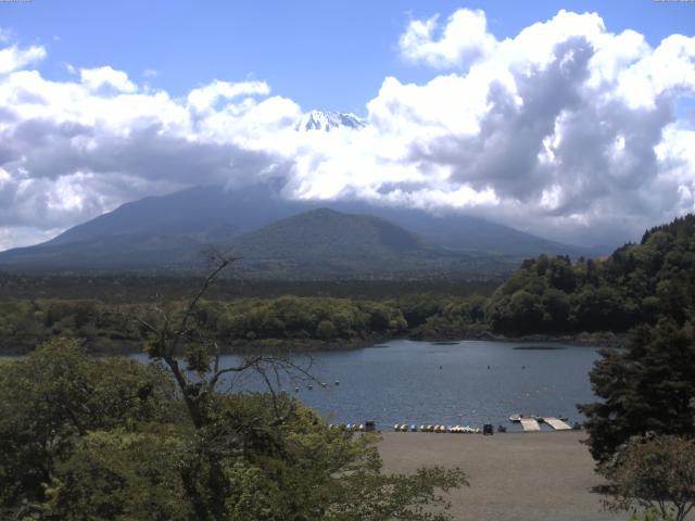 精進湖からの富士山