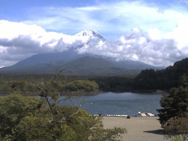 精進湖からの富士山
