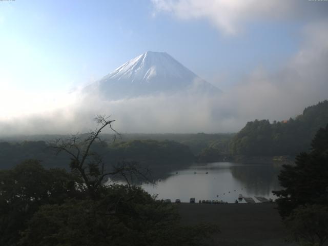 精進湖からの富士山