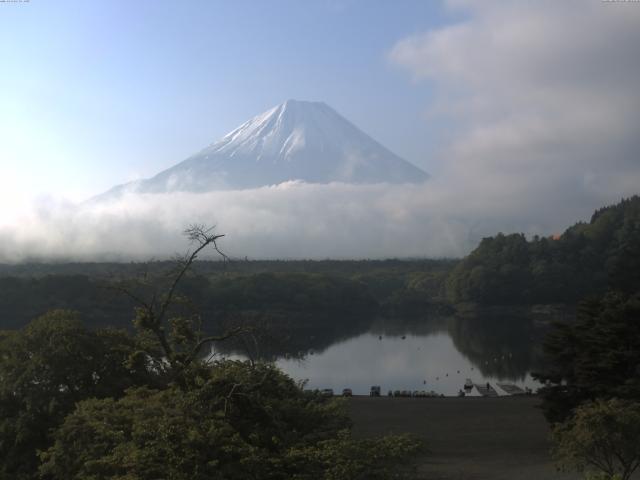 精進湖からの富士山
