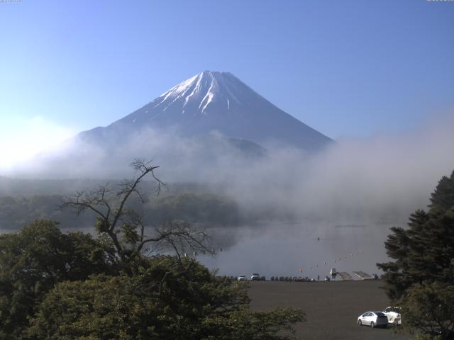 精進湖からの富士山