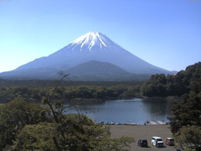 精進湖からの富士山
