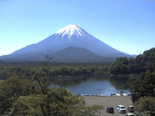 精進湖からの富士山