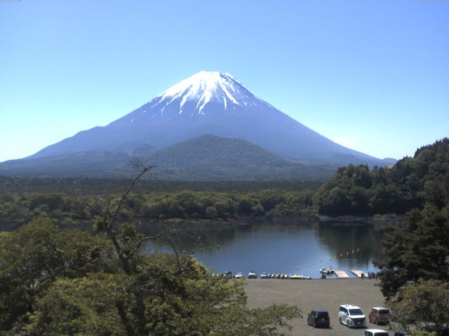 精進湖からの富士山