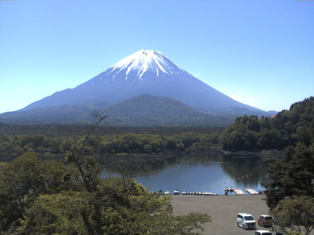精進湖からの富士山
