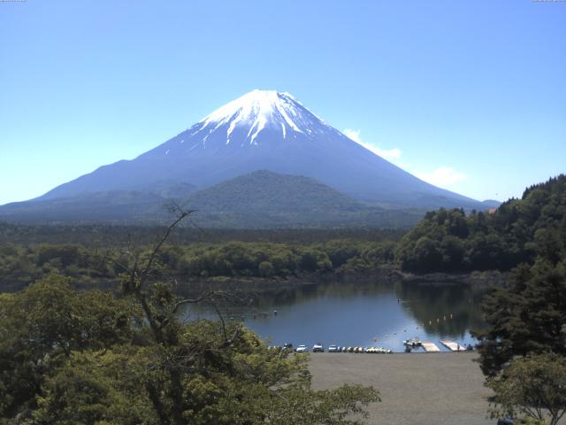 精進湖からの富士山