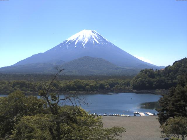 精進湖からの富士山