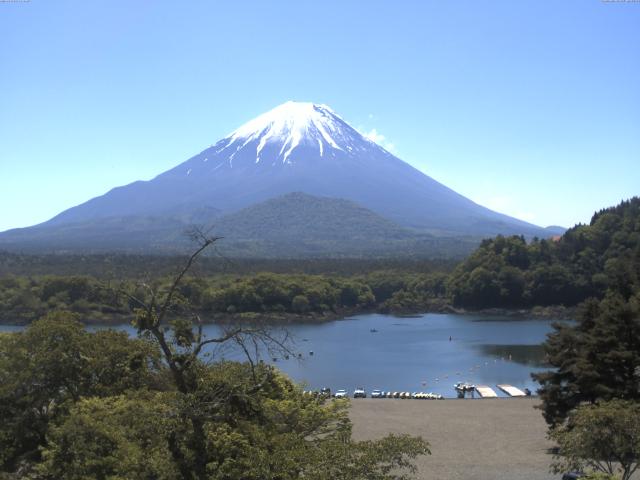 精進湖からの富士山
