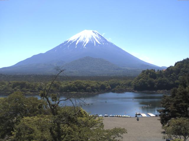 精進湖からの富士山