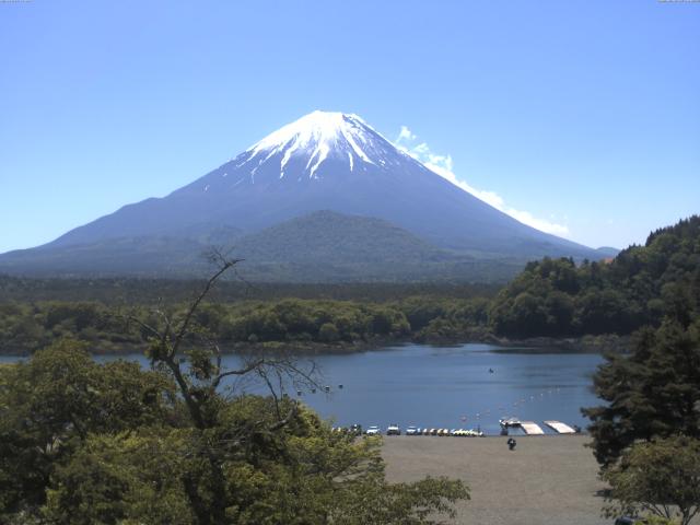 精進湖からの富士山