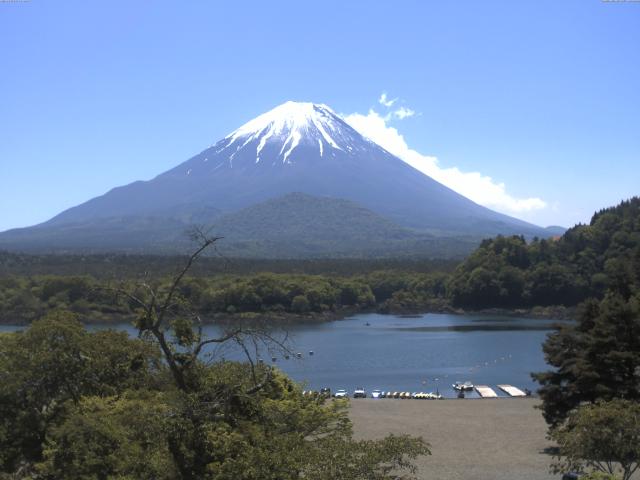 精進湖からの富士山