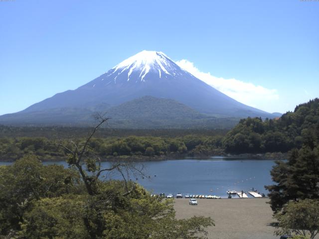 精進湖からの富士山