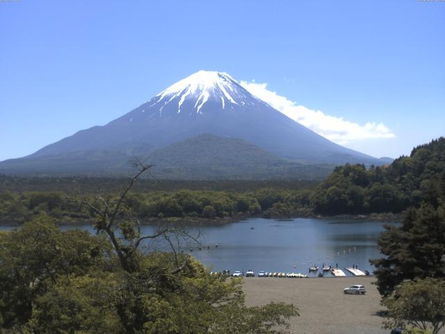 精進湖からの富士山