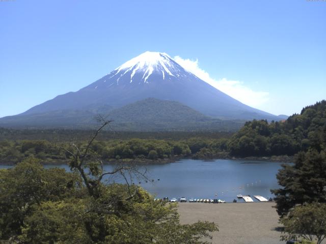 精進湖からの富士山