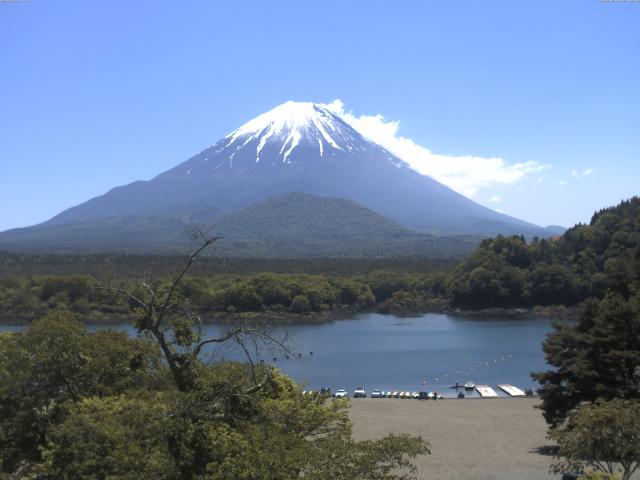 精進湖からの富士山