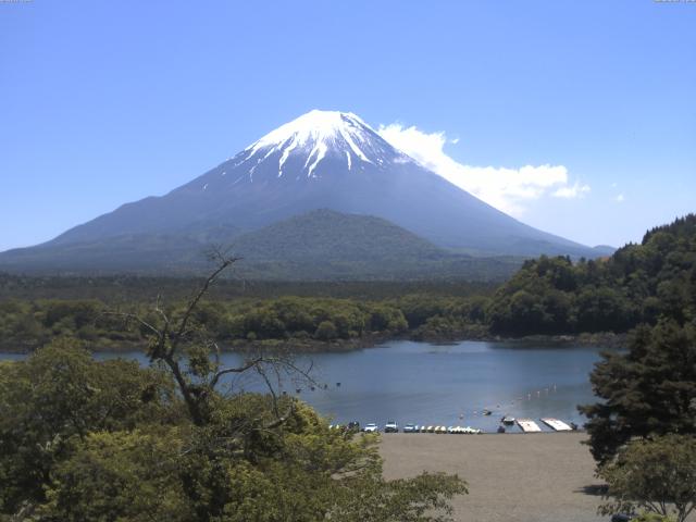 精進湖からの富士山