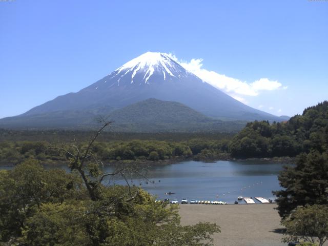 精進湖からの富士山