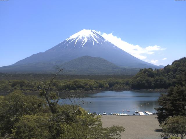 精進湖からの富士山