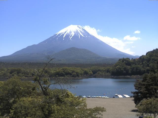 精進湖からの富士山