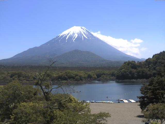 精進湖からの富士山